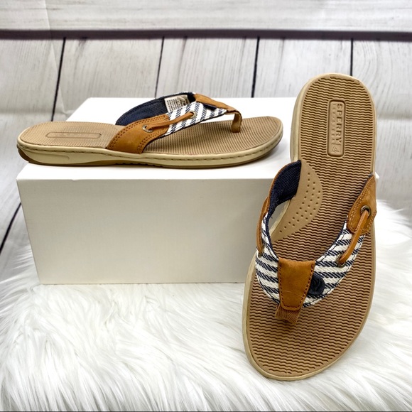 sperry women's seafish thong sandals